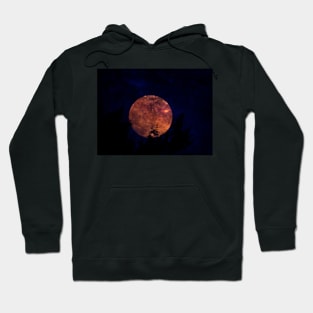 Full moon Hoodie